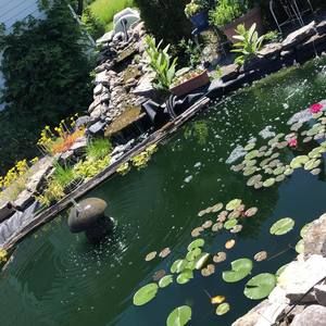 Meet your Posher, Jane